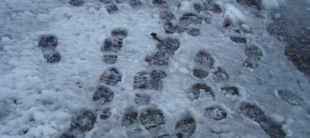 Unsere Fußspuren im Schneematsch